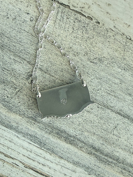 Native American White Buffalo Pendant 18" Necklace